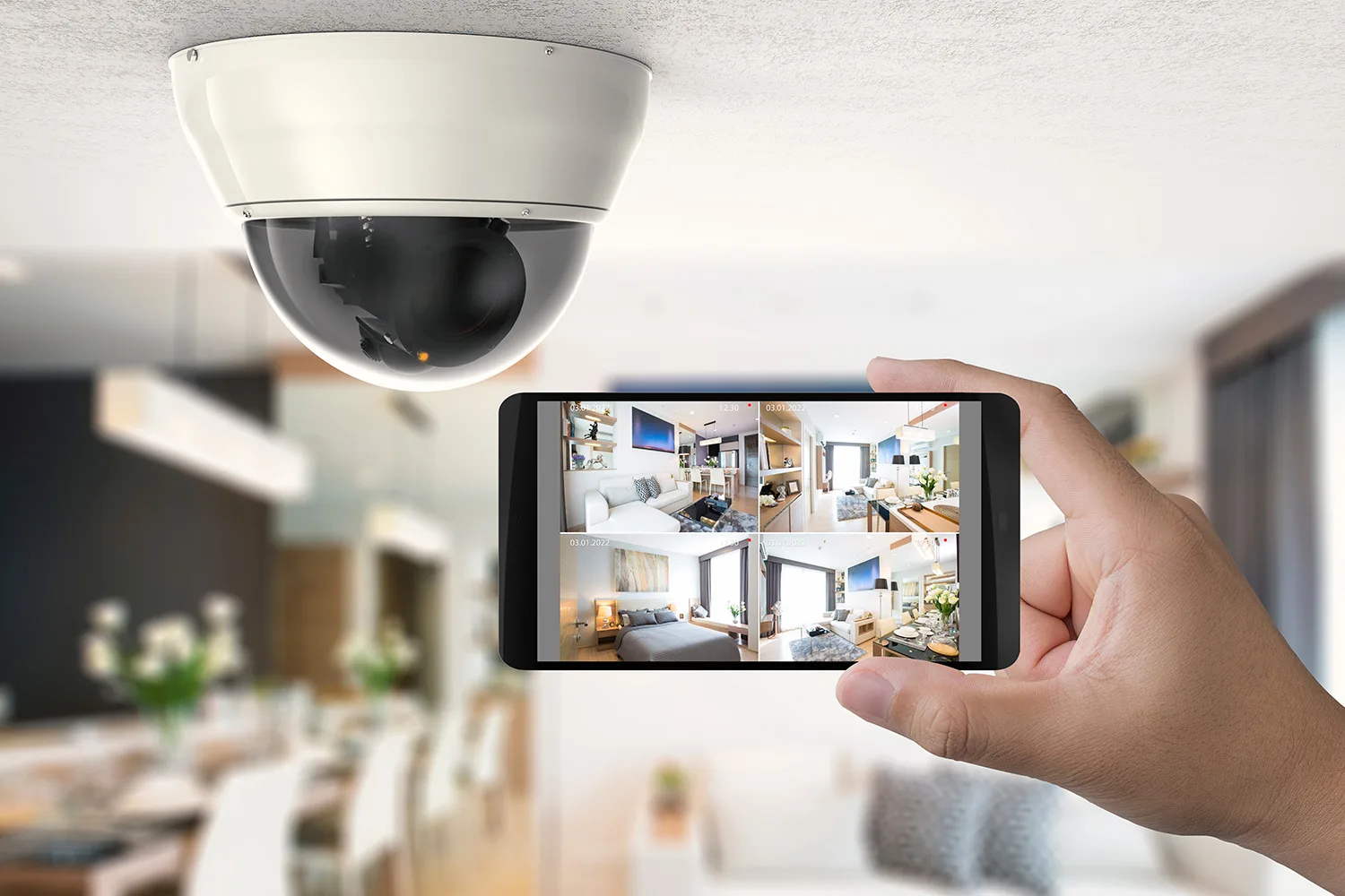 cameras-alarm-systems